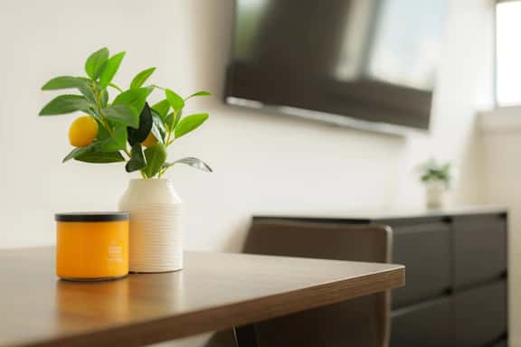 Above The Roots | Elegant & Bright Studio Stay - Image 1